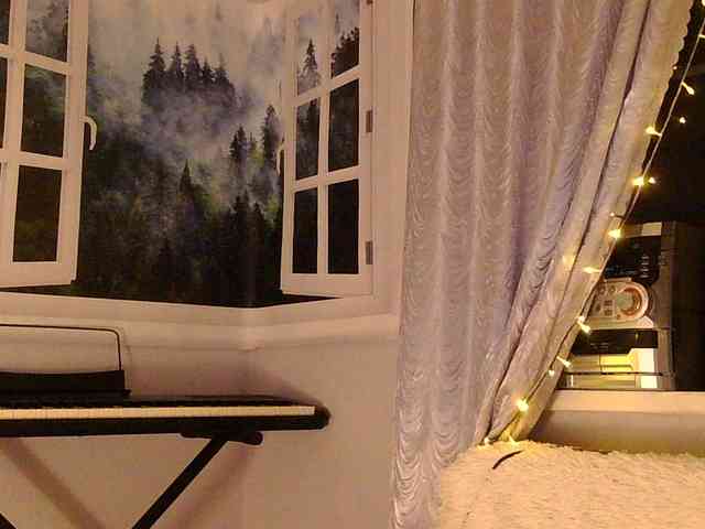 Serseia webcam