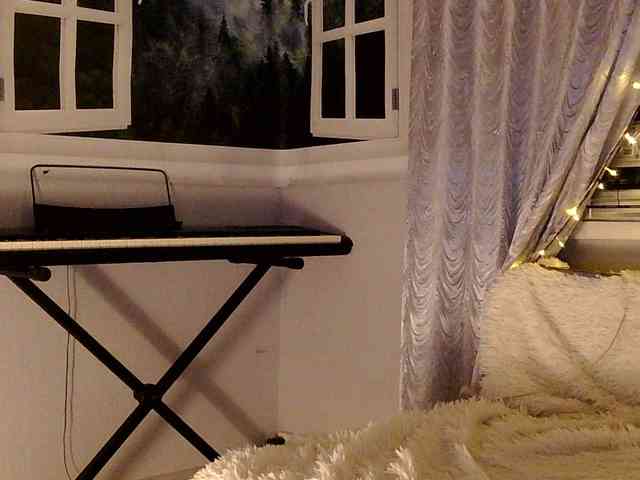 Serseia webcam