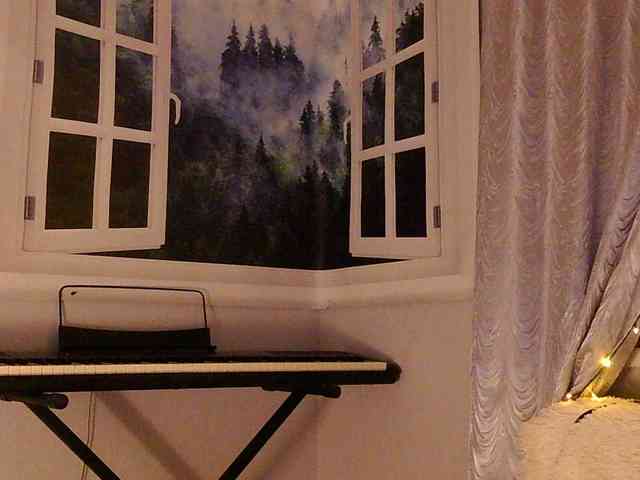 Serseia webcam