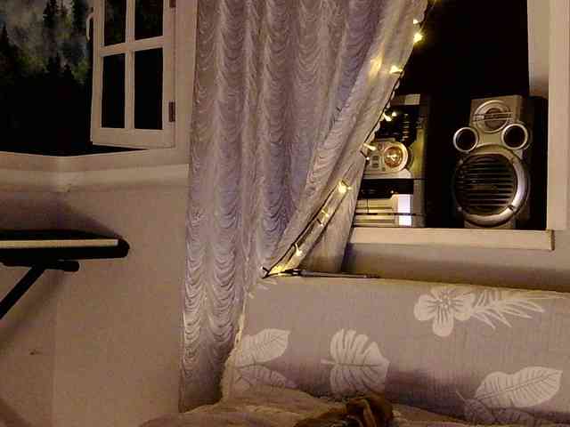 Serseia webcam