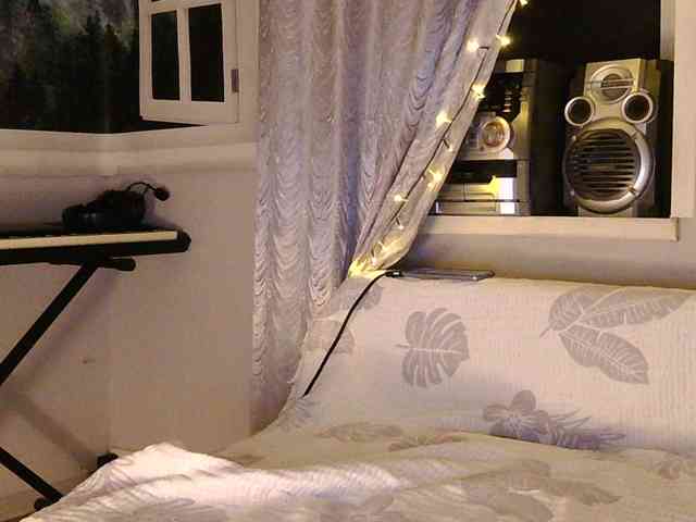 Serseia webcam