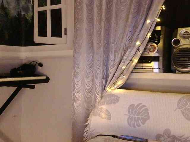 Serseia webcam