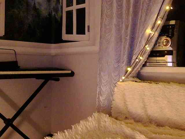 Serseia webcam