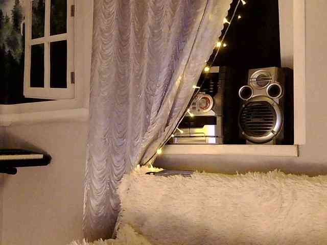 Serseia webcam