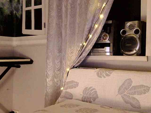 Serseia webcam