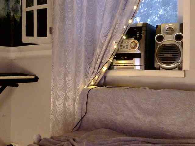 Serseia webcam