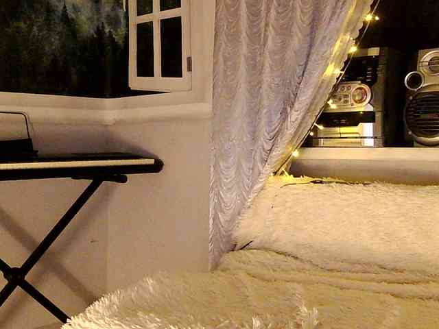 Serseia webcam