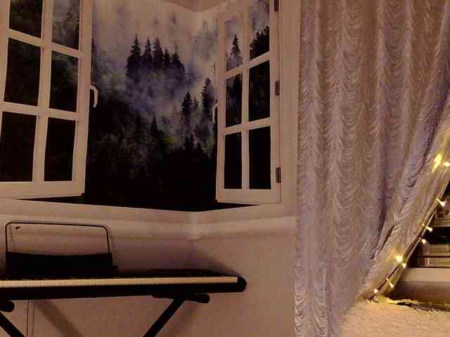 Serseia webcam