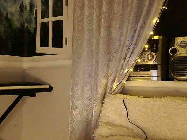 Serseia webcam