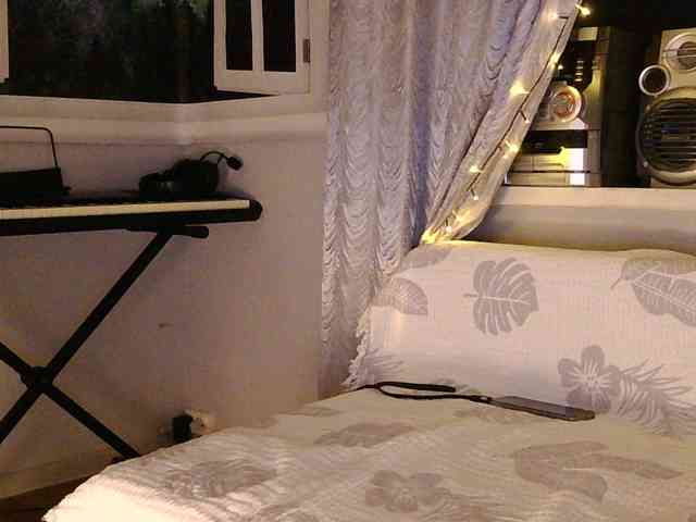 Serseia webcam