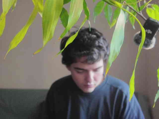 drendon