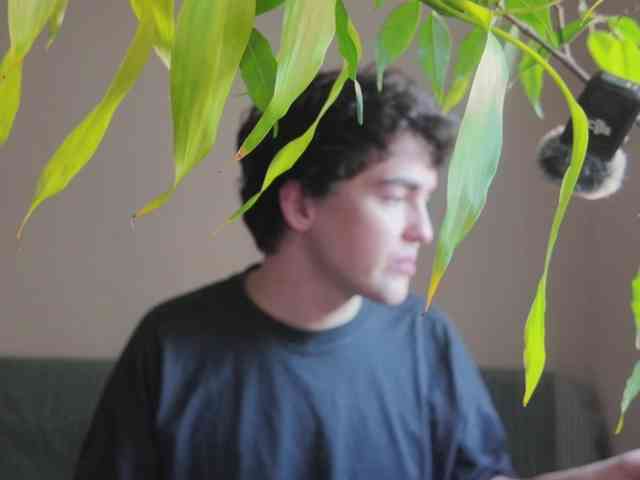 drendon