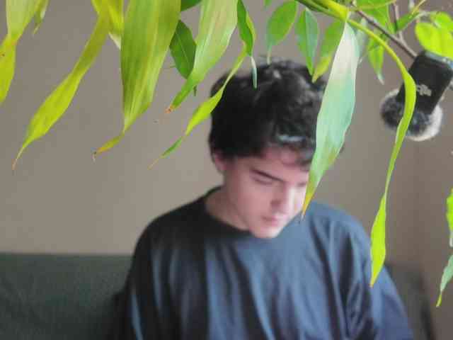 drendon