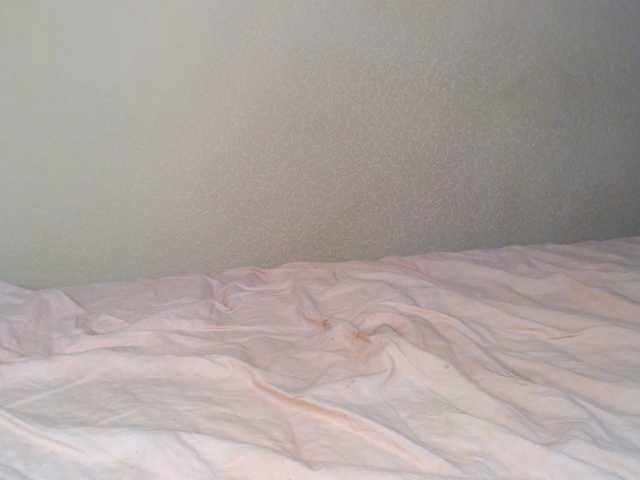 aliceTurner21's BongaCams show and profile