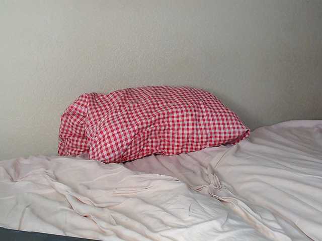 aliceTurner21 live cam