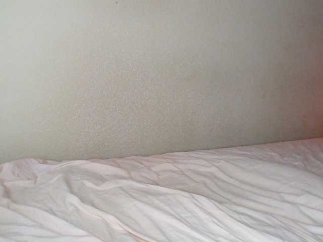 aliceTurner21 live cam