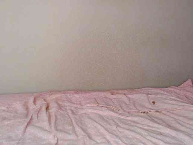 JustAlice webcam