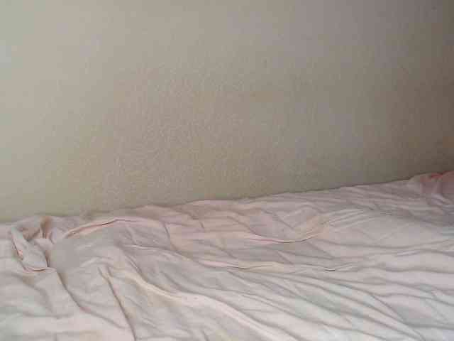 JustAlice webcam