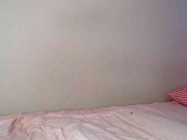 JustAlice webcam