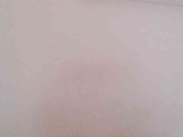 JustAlice webcam