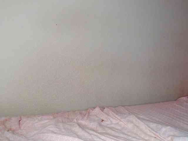 aliceTurner21 Sex Cam Show