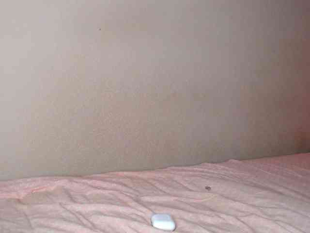 JustAlice webcam