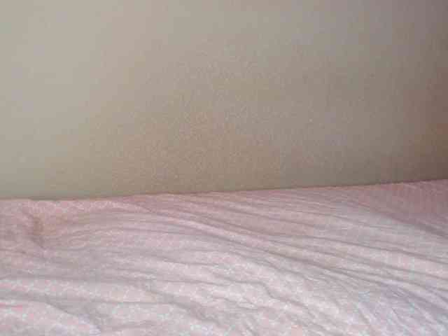 JustAlice webcam