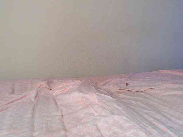 JustAlice webcam