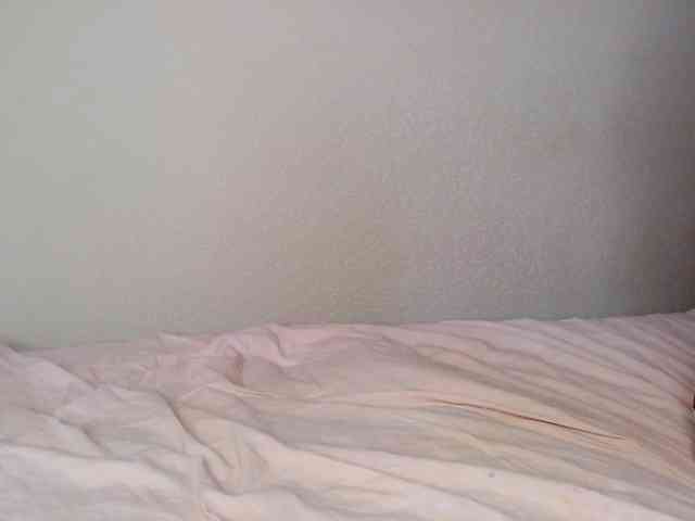 JustAlice webcam