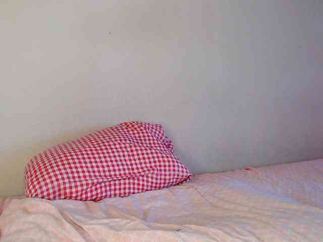 JustAlice webcam