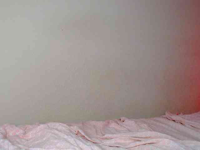JustAlice webcam