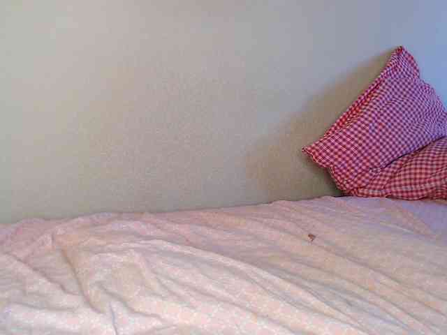 JustAlice webcam