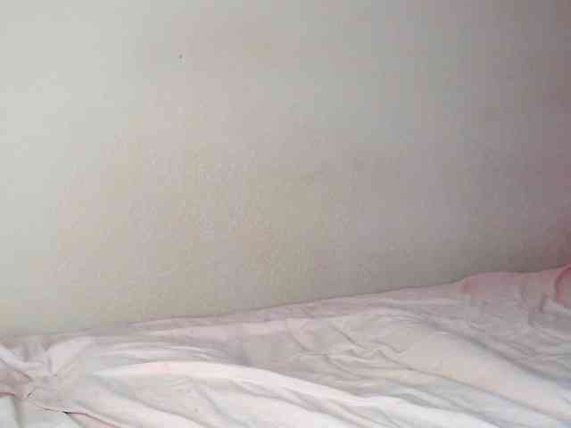 JustAlice webcam