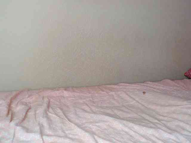 JustAlice webcam