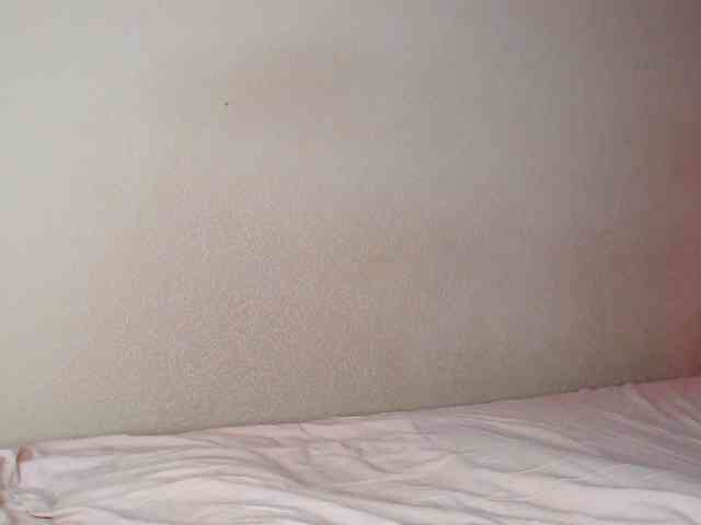 JustAlice webcam