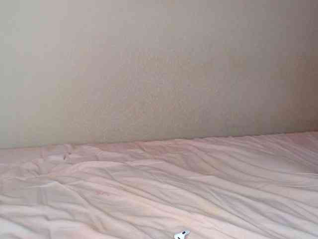 JustAlice webcam