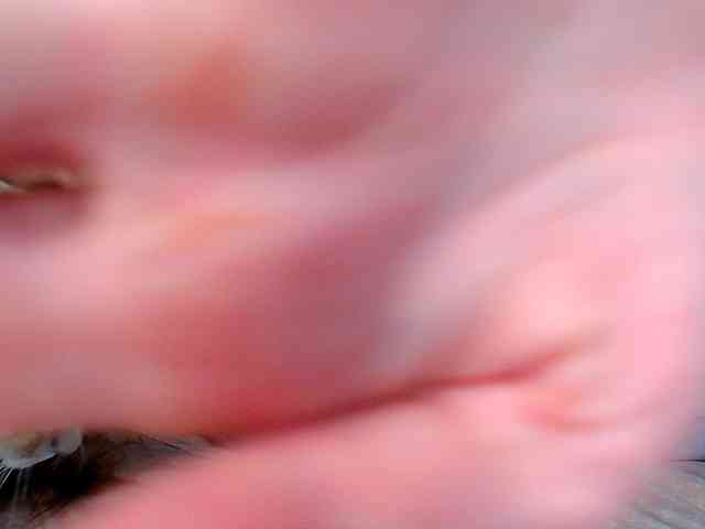 JustAlice webcam