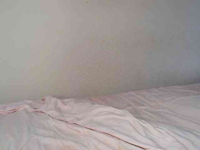 JustAlice webcam