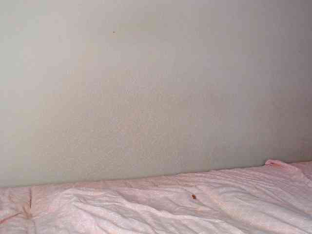 aliceTurner21 Sex Cam Show