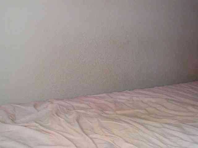 JustAlice webcam