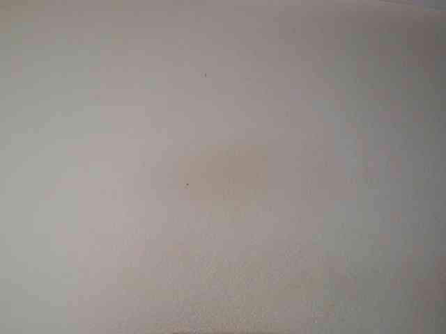 JustAlice webcam