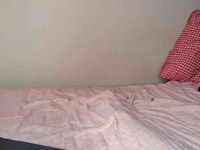 JustAlice webcam