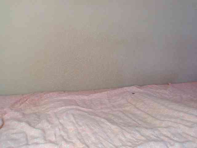 JustAlice webcam