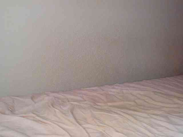 JustAlice webcam