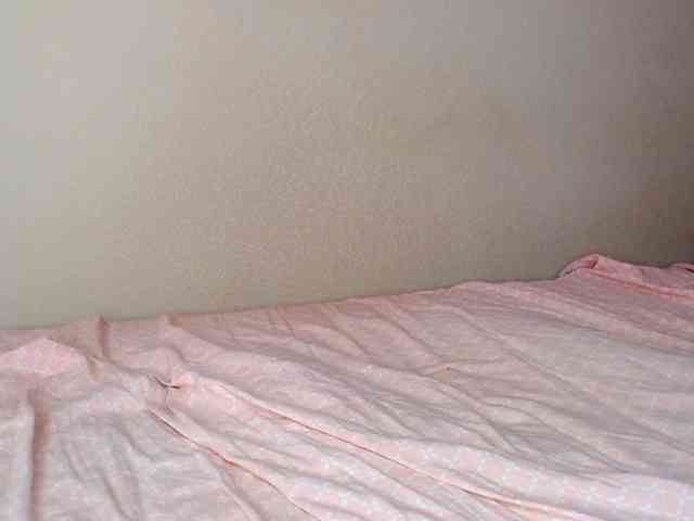 JustAlice webcam