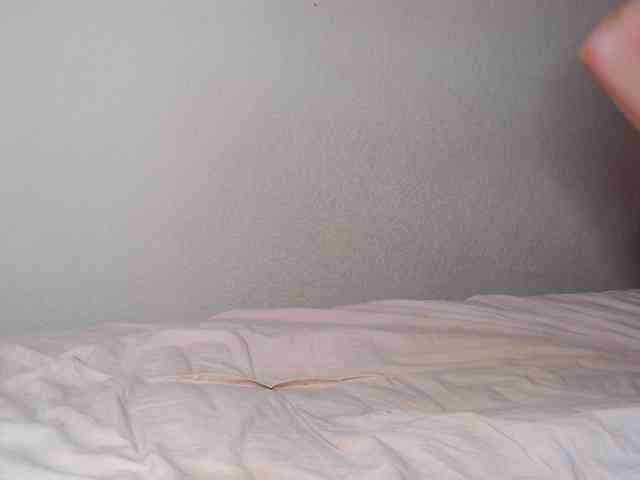 JustAlice webcam