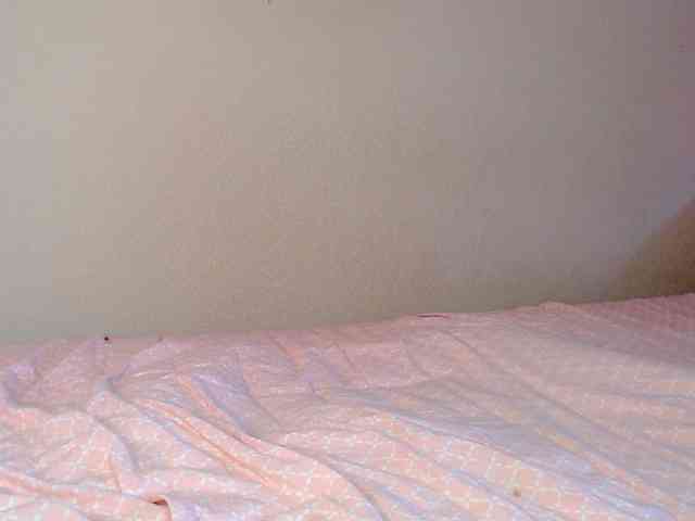 JustAlice webcam