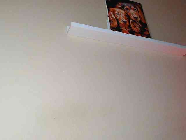 JustAlice webcam