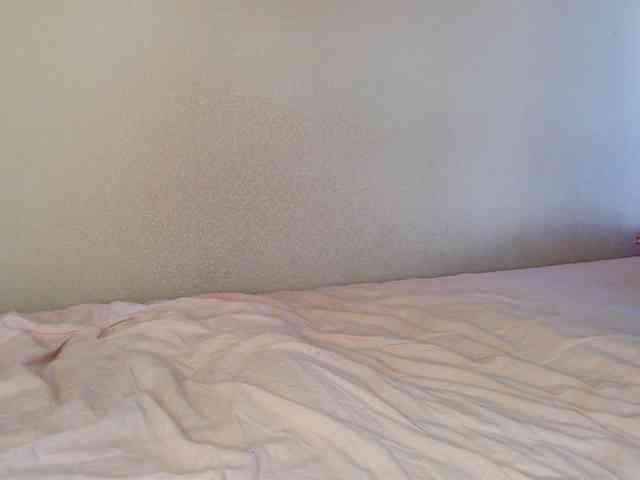 JustAlice webcam