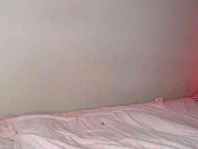 JustAlice webcam